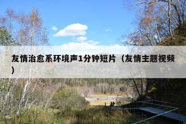 友情治愈系环境声1分钟短片(友情主题视频)