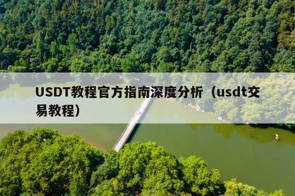 USDT教程官方指南深度分析(usdt交易教程)