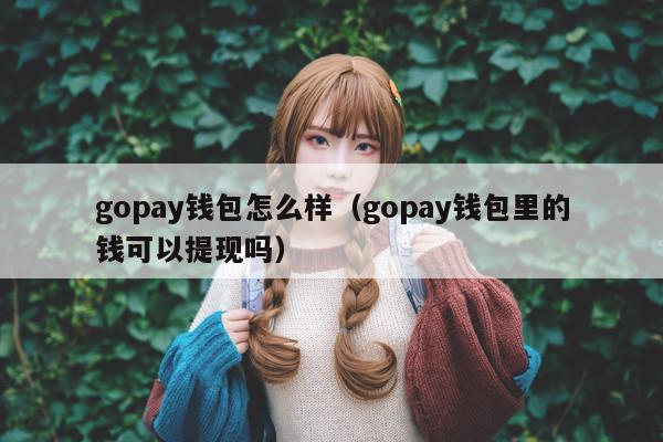 gopay钱包怎么样(gopay钱包里的钱可以提现吗)