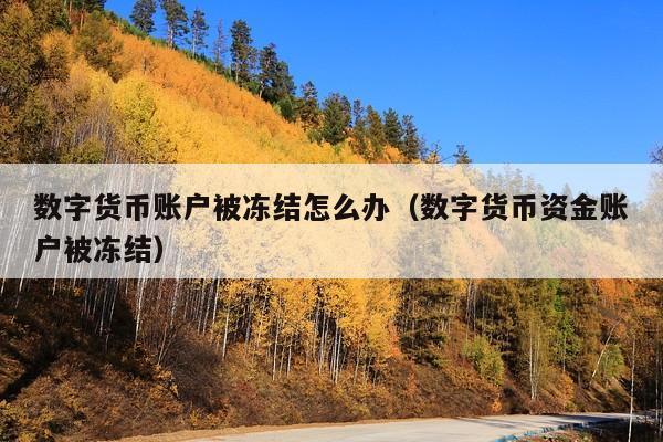 数字货币账户被冻结怎么办(数字货币资金账户被冻结)