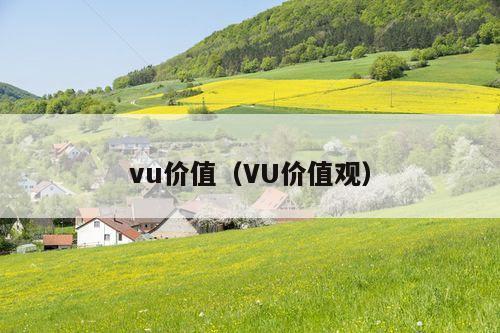 vu价值(VU价值观)