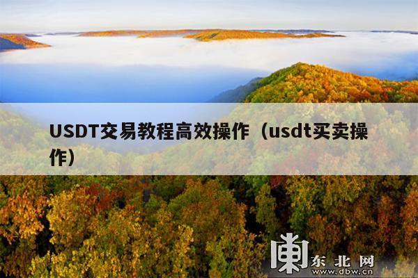 USDT交易教程高效操作(usdt买卖操作)