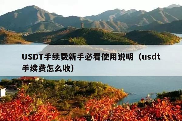 USDT手续费新手必看使用说明(usdt手续费怎么收)