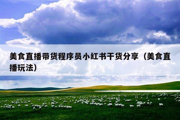 美食直播带货程序员小红书干货分享(美食直播玩法)