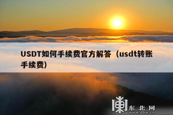 USDT如何手续费官方解答(usdt转账手续费)