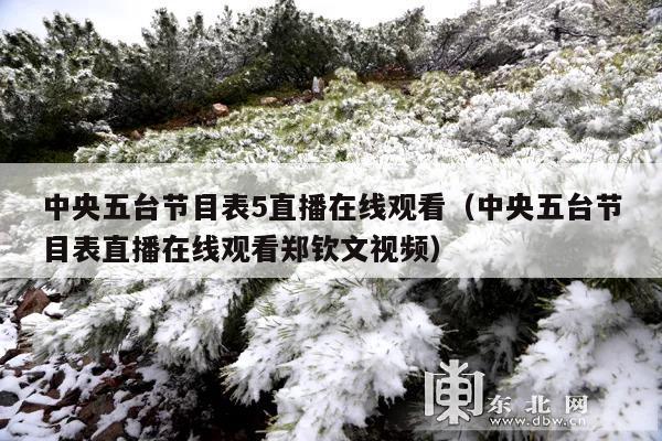 中央五台节目表5直播在线观看(中央五台节目表直播在线观看郑钦文视频)