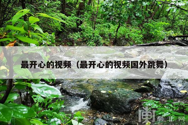 最开心的视频(最开心的视频国外跳舞)