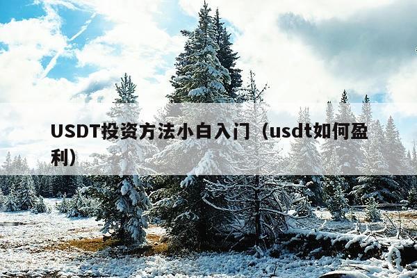 USDT投资方法小白入门(usdt如何盈利)