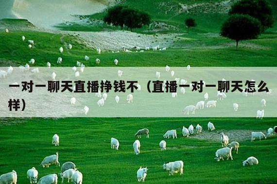 一对一聊天直播挣钱不(直播一对一聊天怎么样)