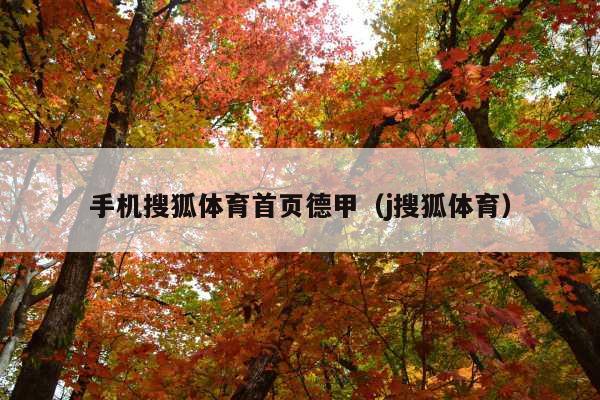 手机搜狐体育首页德甲(j搜狐体育)