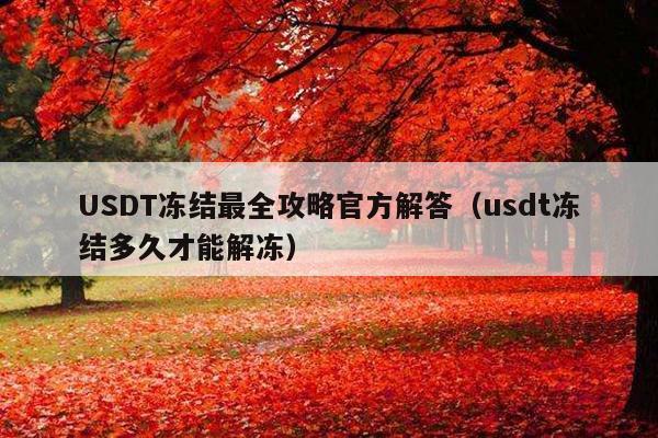 USDT冻结最全攻略官方解答(usdt冻结多久才能解冻)