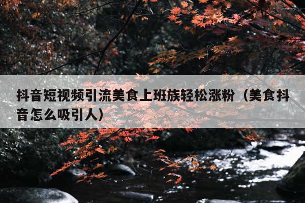 抖音短视频引流美食上班族轻松涨粉(美食抖音怎么吸引人)