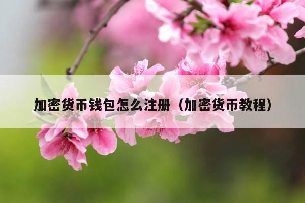 加密货币钱包怎么注册(加密货币教程)