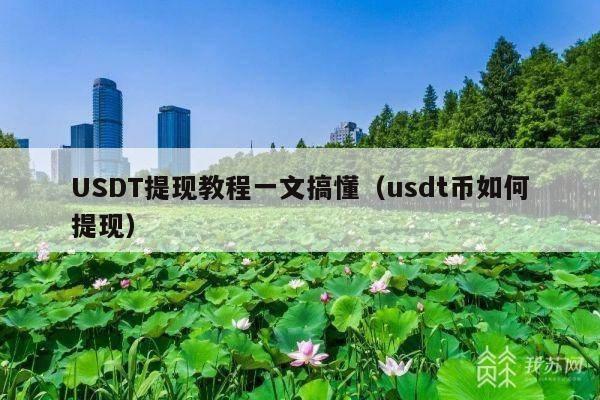 USDT提现教程一文搞懂(usdt币如何提现)
