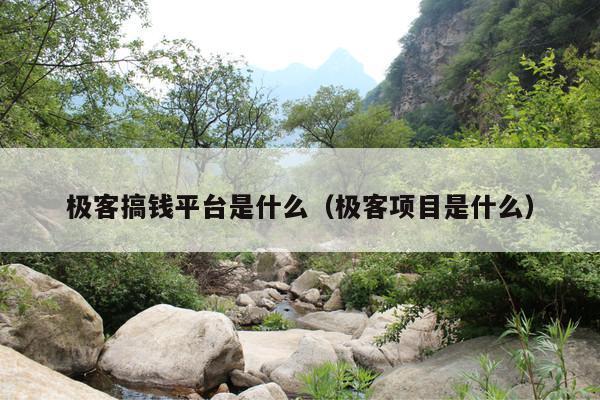 极客搞钱平台是什么(极客项目是什么)