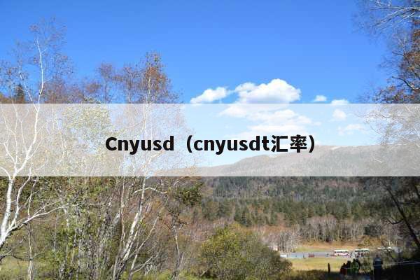 Cnyusd(cnyusdt汇率)