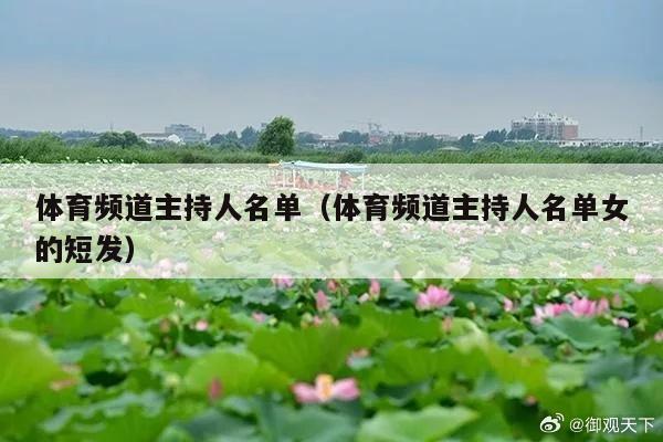 体育频道主持人名单(体育频道主持人名单女的短发)