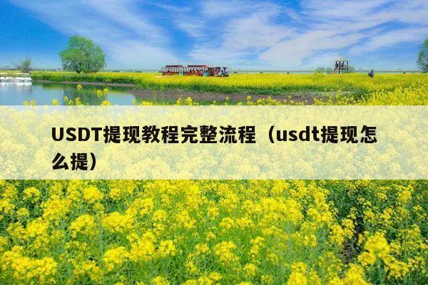 USDT提现教程完整流程(usdt提现怎么提)