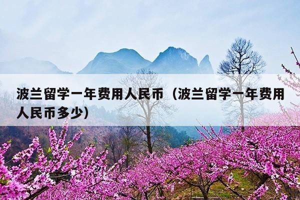 波兰留学一年费用人民币(波兰留学一年费用人民币多少)