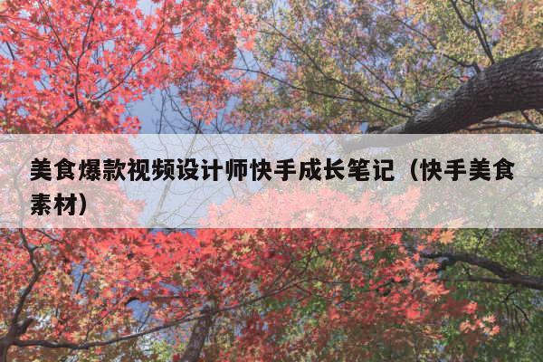 美食爆款视频设计师快手成长笔记(快手美食素材)