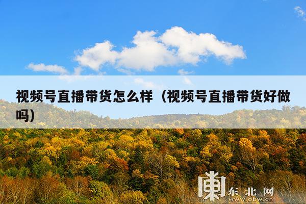 视频号直播带货怎么样(视频号直播带货好做吗)