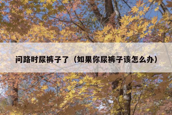 问路时尿裤子了(如果你尿裤子该怎么办)