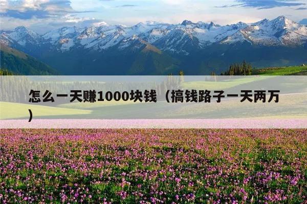 怎么一天赚1000块钱(搞钱路子一天两万)