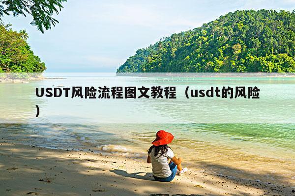USDT风险流程图文教程(usdt的风险)