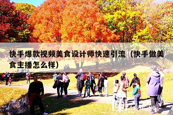 快手爆款视频美食设计师快速引流(快手做美食主播怎么样)