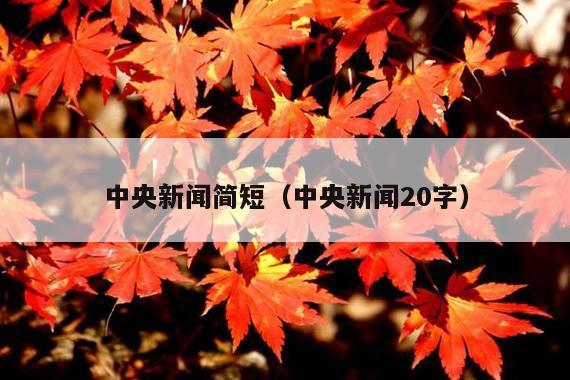 中央新闻简短(中央新闻20字)