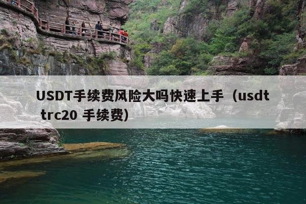 USDT手续费风险大吗快速上手(usdt trc20 手续费)