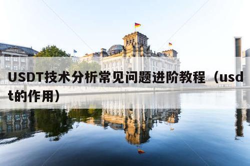 USDT技术分析常见问题进阶教程(usdt的作用)
