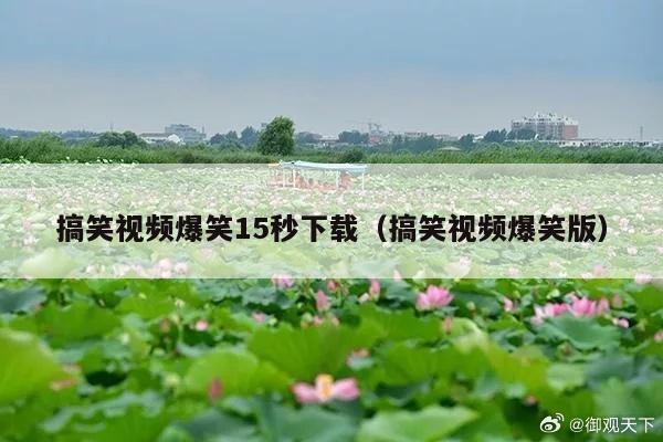 搞笑视频爆笑15秒下载(搞笑视频爆笑版)