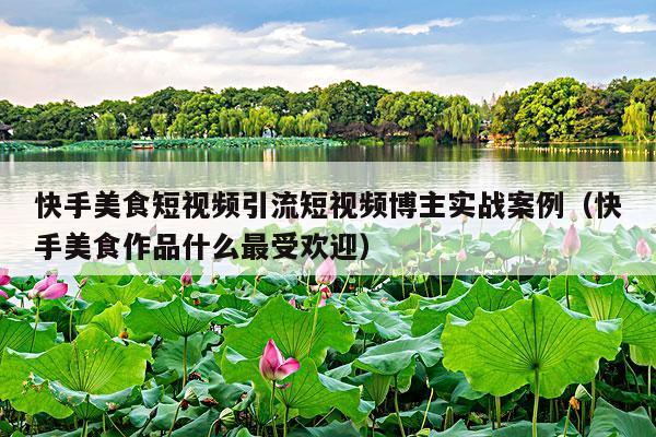 快手美食短视频引流短视频博主实战案例(快手美食作品什么最受欢迎)