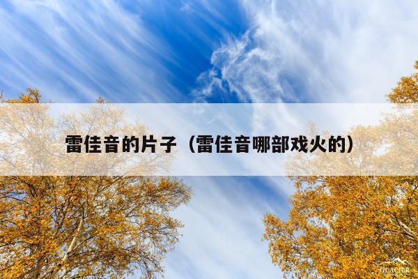 雷佳音的片子(雷佳音哪部戏火的)