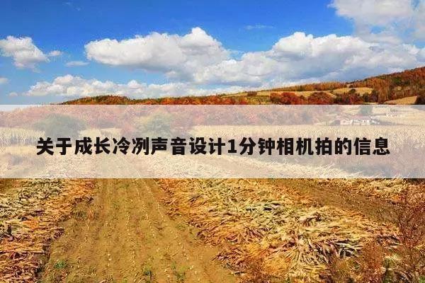关于成长冷冽声音设计1分钟相机拍的信息