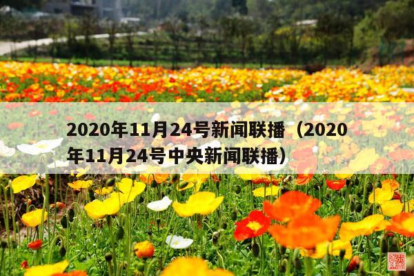 2020年11月24号新闻联播(2020年11月24号中央新闻联播)
