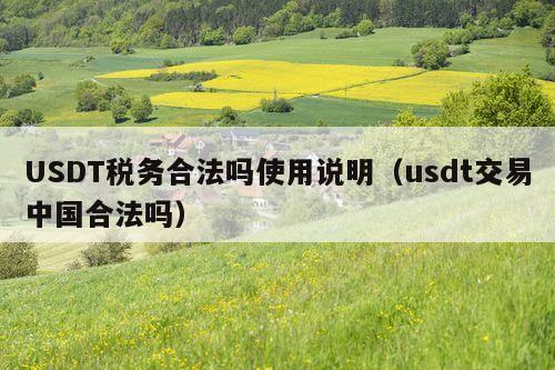 USDT税务合法吗使用说明(usdt交易中国合法吗)