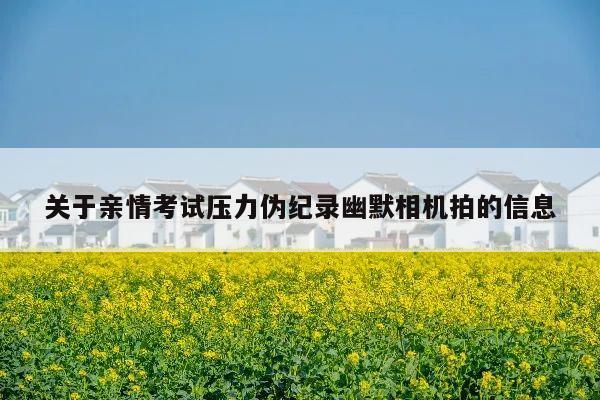 关于亲情考试压力伪纪录幽默相机拍的信息