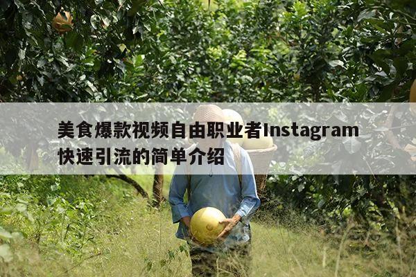 美食爆款视频自由职业者Instagram快速引流的简单介绍