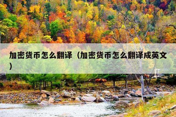 加密货币怎么翻译(加密货币怎么翻译成英文)