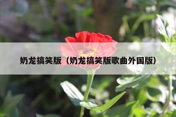 奶龙搞笑版(奶龙搞笑版歌曲外国版)