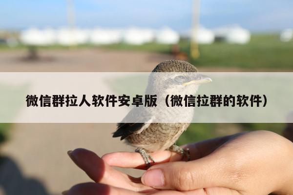 微信群拉人软件安卓版(微信拉群的软件)