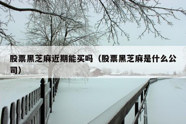 股票黑芝麻近期能买吗(股票黑芝麻是什么公司)