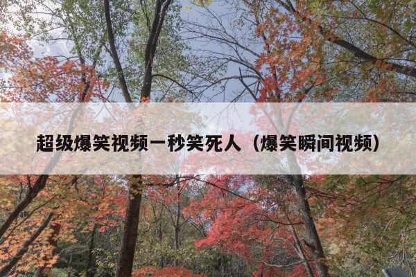 超级爆笑视频一秒笑死人(爆笑瞬间视频)