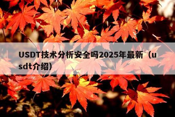 USDT技术分析安全吗2025年最新(usdt介绍)