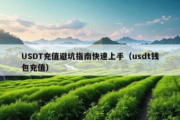 USDT充值避坑指南快速上手(usdt钱包充值)