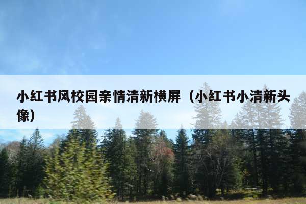 小红书风校园亲情清新横屏(小红书小清新头像)