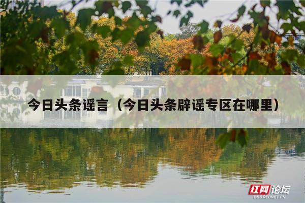 今日头条谣言(今日头条辟谣专区在哪里)