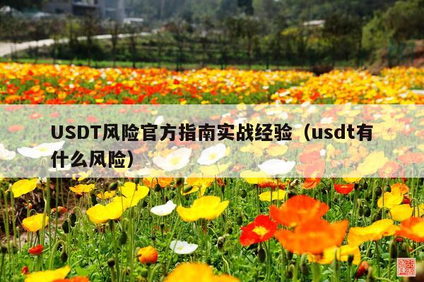 USDT风险官方指南实战经验(usdt有什么风险)